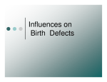 Influences on Birth Defects