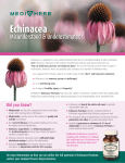 Echinacea - Standard Process