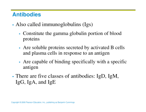Antibodies Also called immunoglobulins (Igs) There are five classes