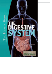 The Digestive System - CAFE SYSTEM CANARIAS