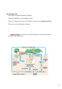 1 The Nitrogen Cycle the cycling of nitrogen through the biosphere