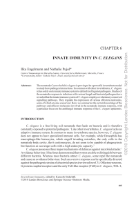 innate immunity in c. elegans