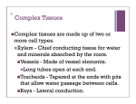 + Complex Tissues