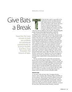 Searches for new viruses in bats are unlikely to contribute