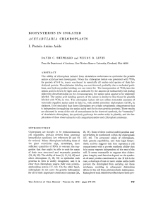 BIOSYNTHESIS IN ISOLATED ACETABULARIA CHLOROPLASTS I