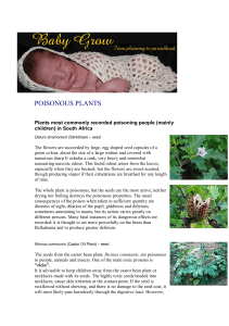 Poisonous plants in your garden