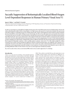 Saccadic Suppression of Retinotopically Localized Blood Oxygen