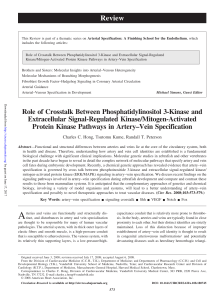 Role of Crosstalk Between Phosphatidylinositol 3