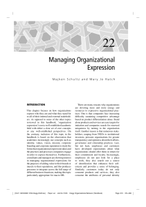 Managing Organizational Expression