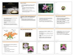 Chapter 38 - Angiosperm Reproduction and Biotechnology