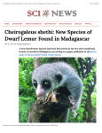 Cheirogaleus shethi: New Species of Dwarf Lemur Found in