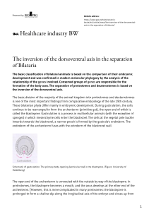 The inversion of the dorsoventral axis in the separation of Bilataria