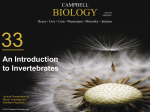 biology - HCC Learning Web