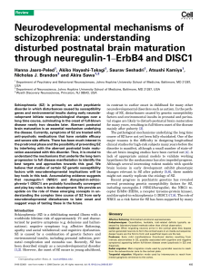 Neurodevelopmental mechanisms of schizophrenia: understanding