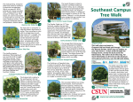 Southeast Campus Tree Walk