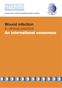 Wound infection in clinical practice. An
