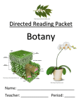 Botany DR