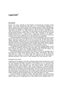 Legionella 1 - World Health Organization