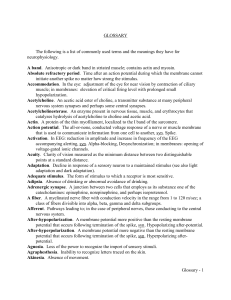 Glossary - The Nervous System in Action