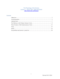 1 Revised 10/11/2016 The Physiology of the Senses Lecture 7