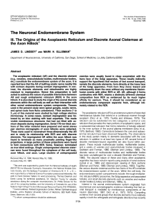The Neuronal Endomembrane System