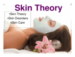 Skin Theory •Skin Disorders •Skin Care