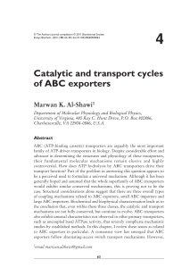 Catalytic and transport cycles of ABC exporters