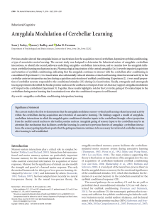 Amygdala Modulation of Cerebellar Learning