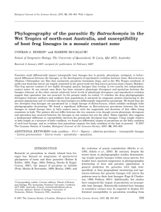 Phylogeography of the parasitic fly Batrachomyia in the Wet Tropics