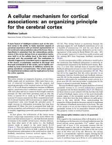 A cellular mechanism for cortical associations: an organizing