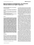 Bacterial Signals and Antagonists: The Interaction Between Bacteria