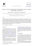 Phases of activity and geochemistry of basaltic dike systems in