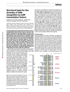 letters Structural basis for the diversity of DNA recognition by bZIP