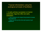 Tropical reforestation using the ecological principle of facilitation
