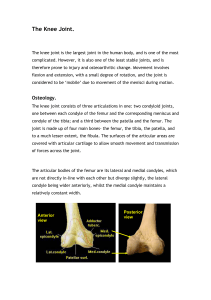 The Knee Joint - Judith Brown CPD