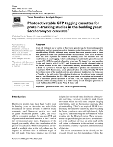 Photoactivatable GFP tagging cassettes for protein