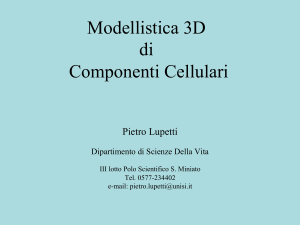 Modellistica 3D di Componenti Cellulari