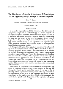 The Distribution of Special Cytoplasmic Differentiations of the Egg