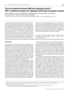 iron-regulatory protein 1