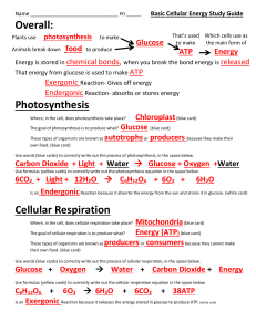 Overall: Photosynthesis Cellular Respiration