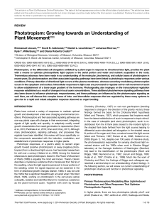 Phototropism: Growing towards an Understanding of