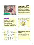 GENETICS: THE STUDY OF HEREDITY. MENDEL STUDIED THE