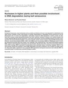 Nucleases in higher plants and their possible