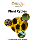 Plant Cycles - Chippewa Nature Center