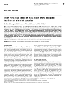 High refractive index of melanin in shiny occipital feathers