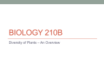 Biology 210B