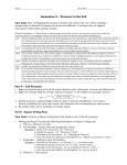 Summative 2 – Processes in the Cell