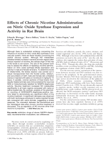 Effects of chronic nicotine administration on nitric oxide synthase