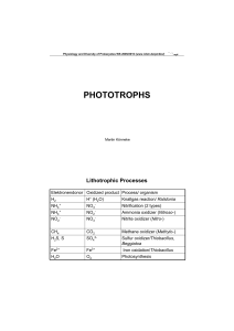 PHOTOTROPHS