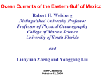 Ocean Currents of the Eastern Gulf of Mexico Robert H. Weisberg